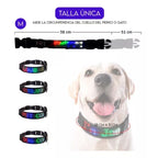 Correa led para perro