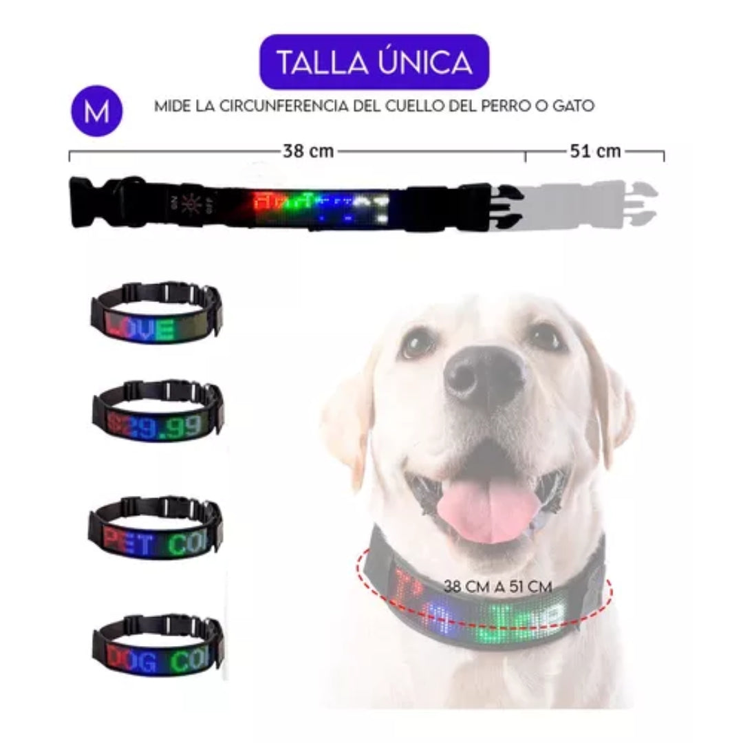 Correa led para perro