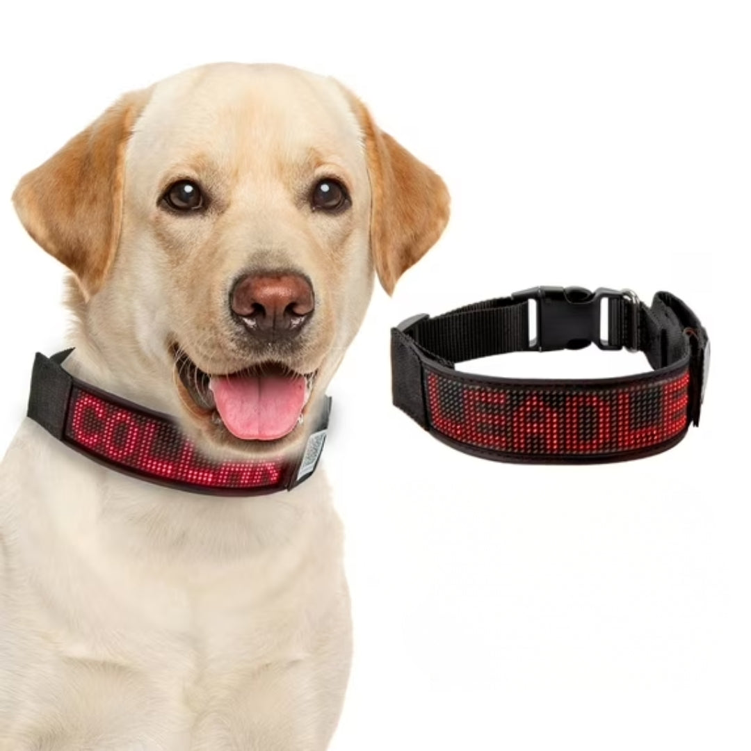 Correa led para perro