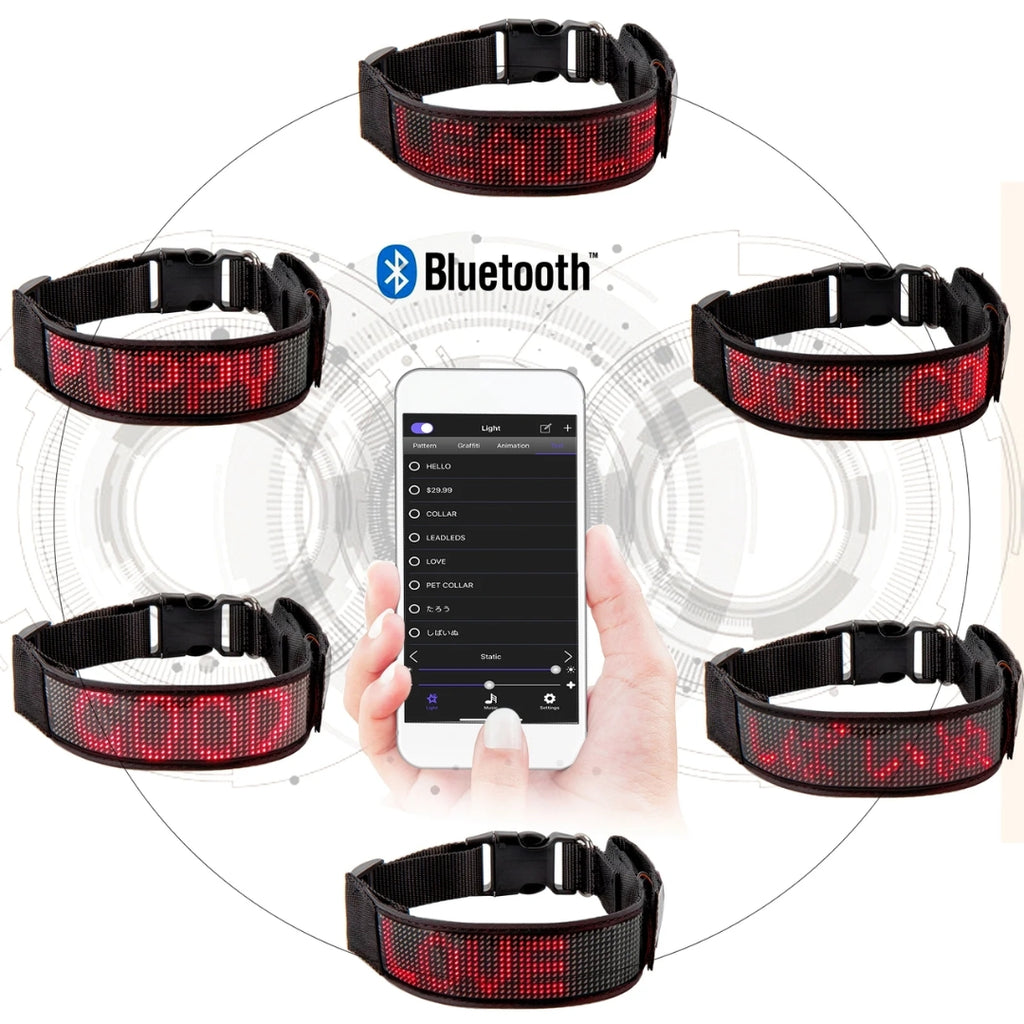 Correa led para perro