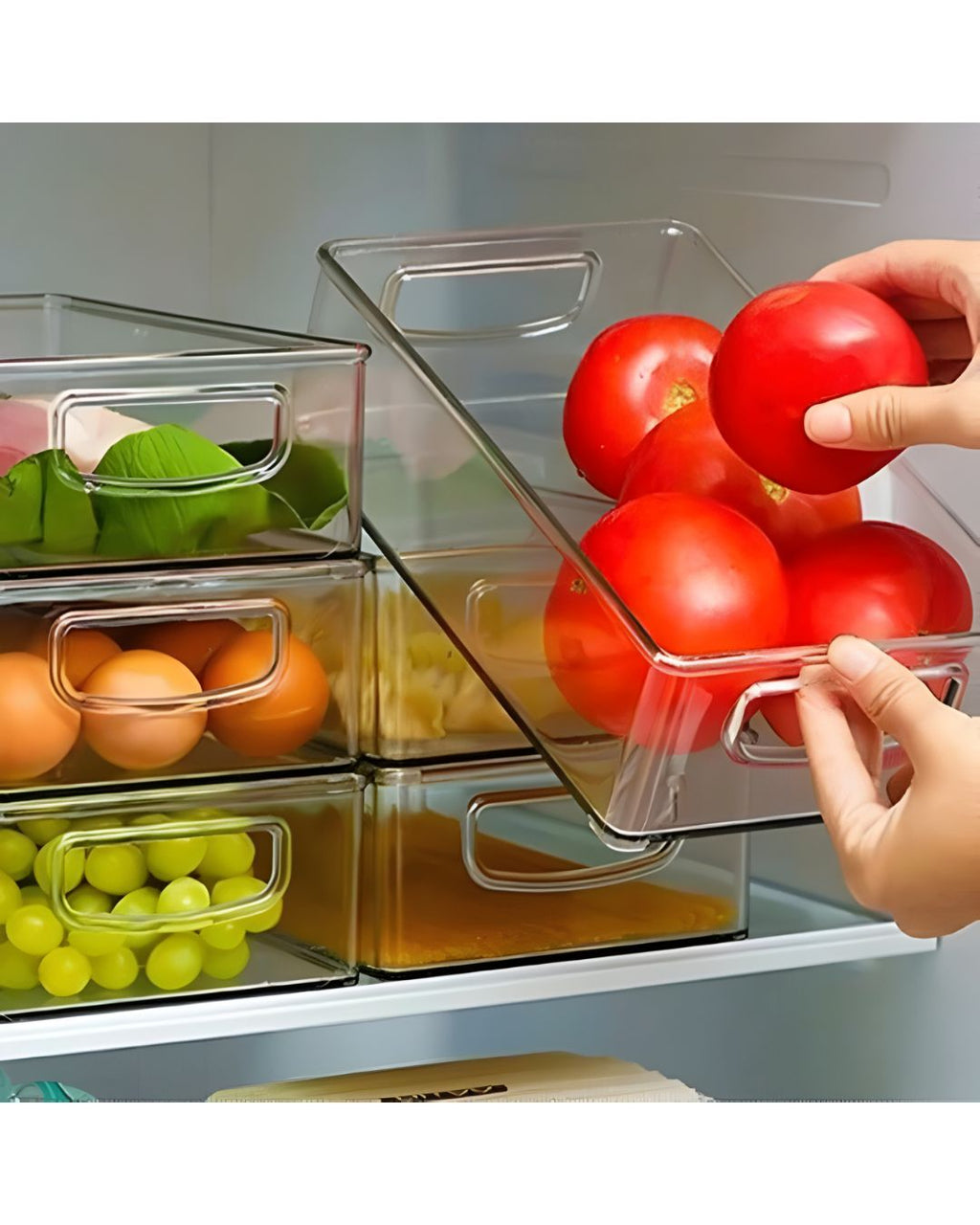 Contenedor transparente