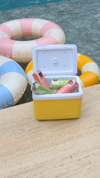 Mini nevera portatil