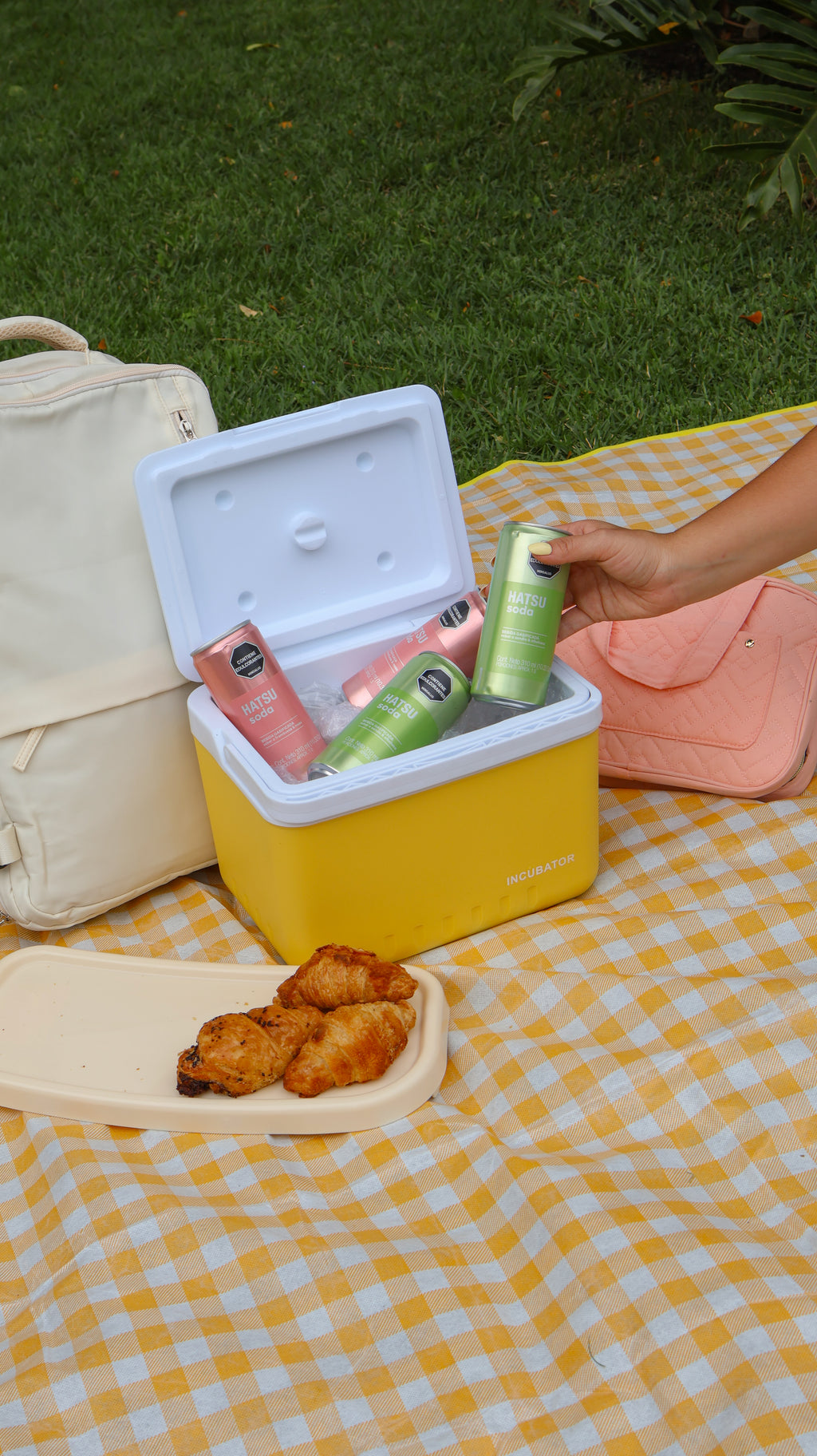 Mini nevera portatil