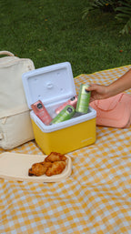 Mini nevera portatil