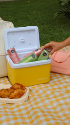 Mini nevera portatil