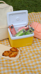 Mini nevera portatil