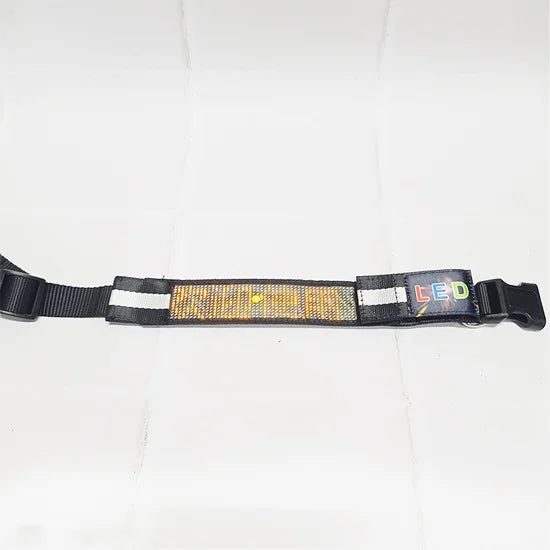 Correa led para perro