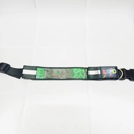 Correa led para perro