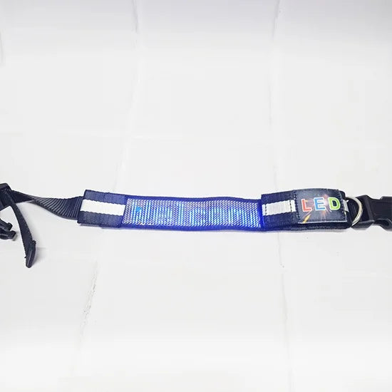 Correa led para perro