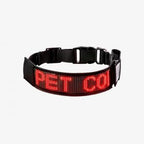 Correa led para perro