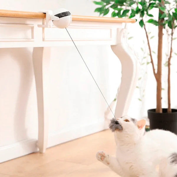 Yoyo para gatos