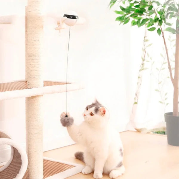 Yoyo para gatos