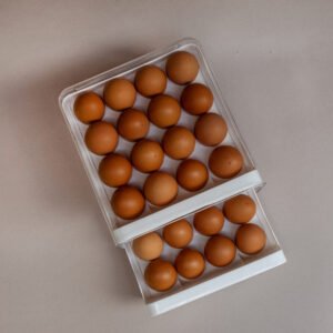 Organizador de huevos x32